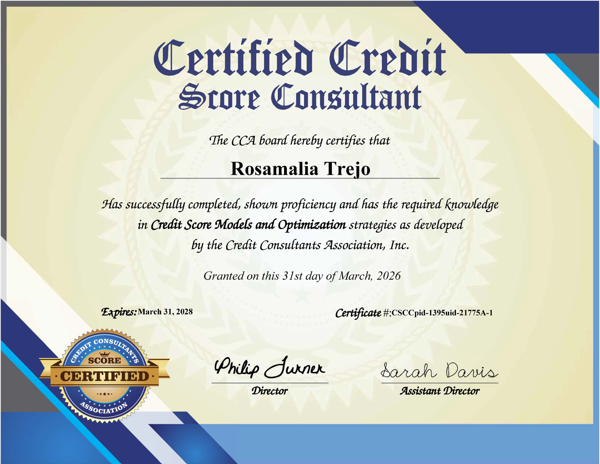 Certified Credit Score Consultant